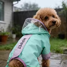 Dog Reflective Color Blocking Durable Raincoat Waterproof Pet Outdoor Windproof Supplies for Small to Medium Dogs Jumpsuits Dog Clothes